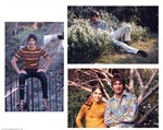 The Turtles 1967 - 1968 John Barbata Slides & Color Positives Assortment