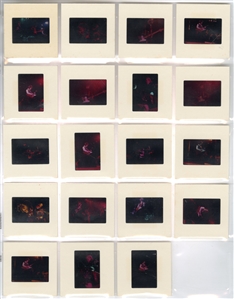 John Entwistle 1970s Lot of 19 Color Positive Slides