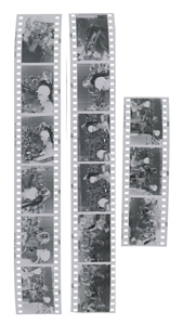 Bob Marley 1975 Lot of 15 BW Frames with Paper Contact Sheet Live at The Schaefer Music Festival With Transfer Rights